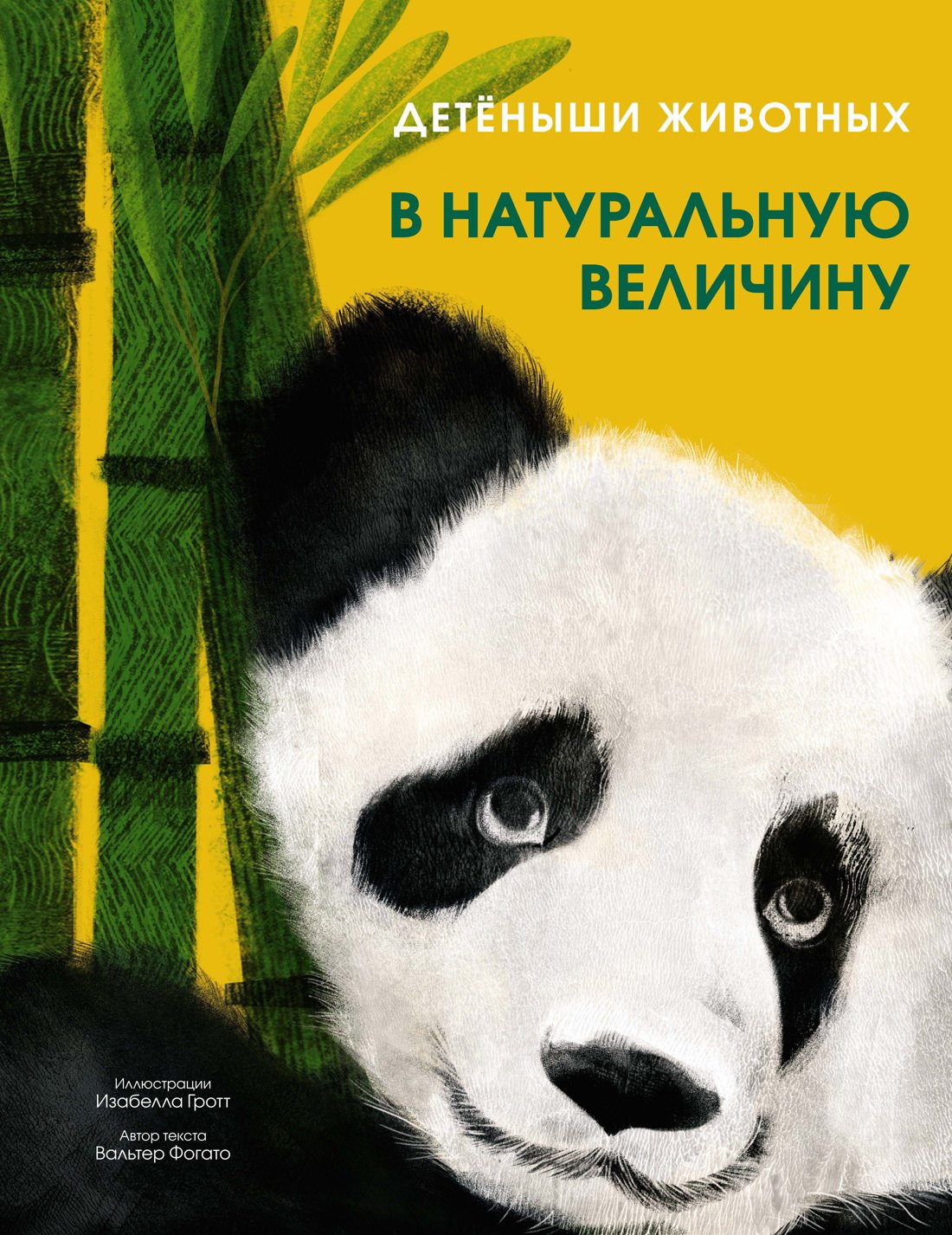 

Детёныши животных в натуральную величину