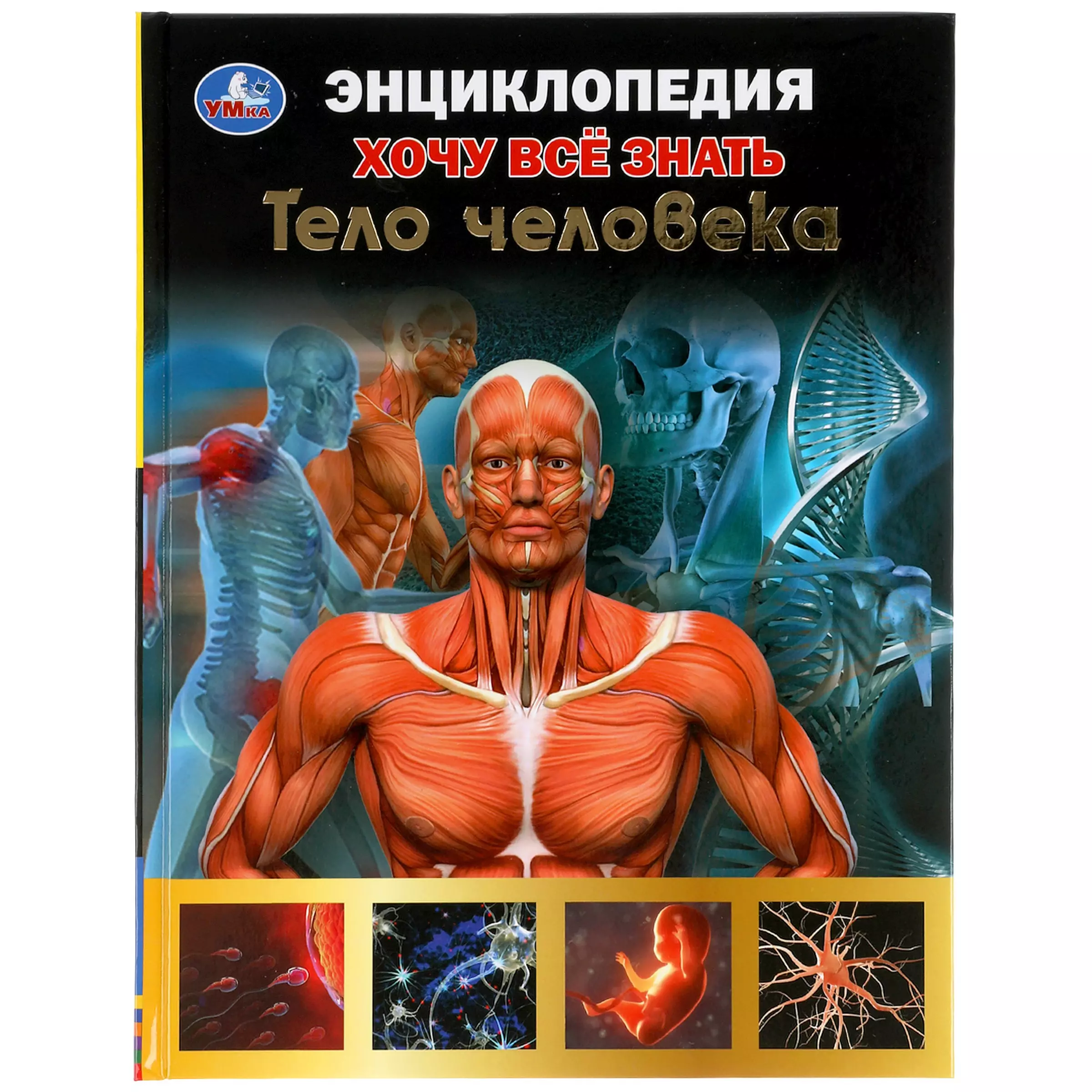 Книга организм. Умка тело человека энциклопедия. Энциклопедия с развивающими заданиями. Тело человека. Умка энциклопедия для детей тело человека. Энциклопедия тело человека Махаон.