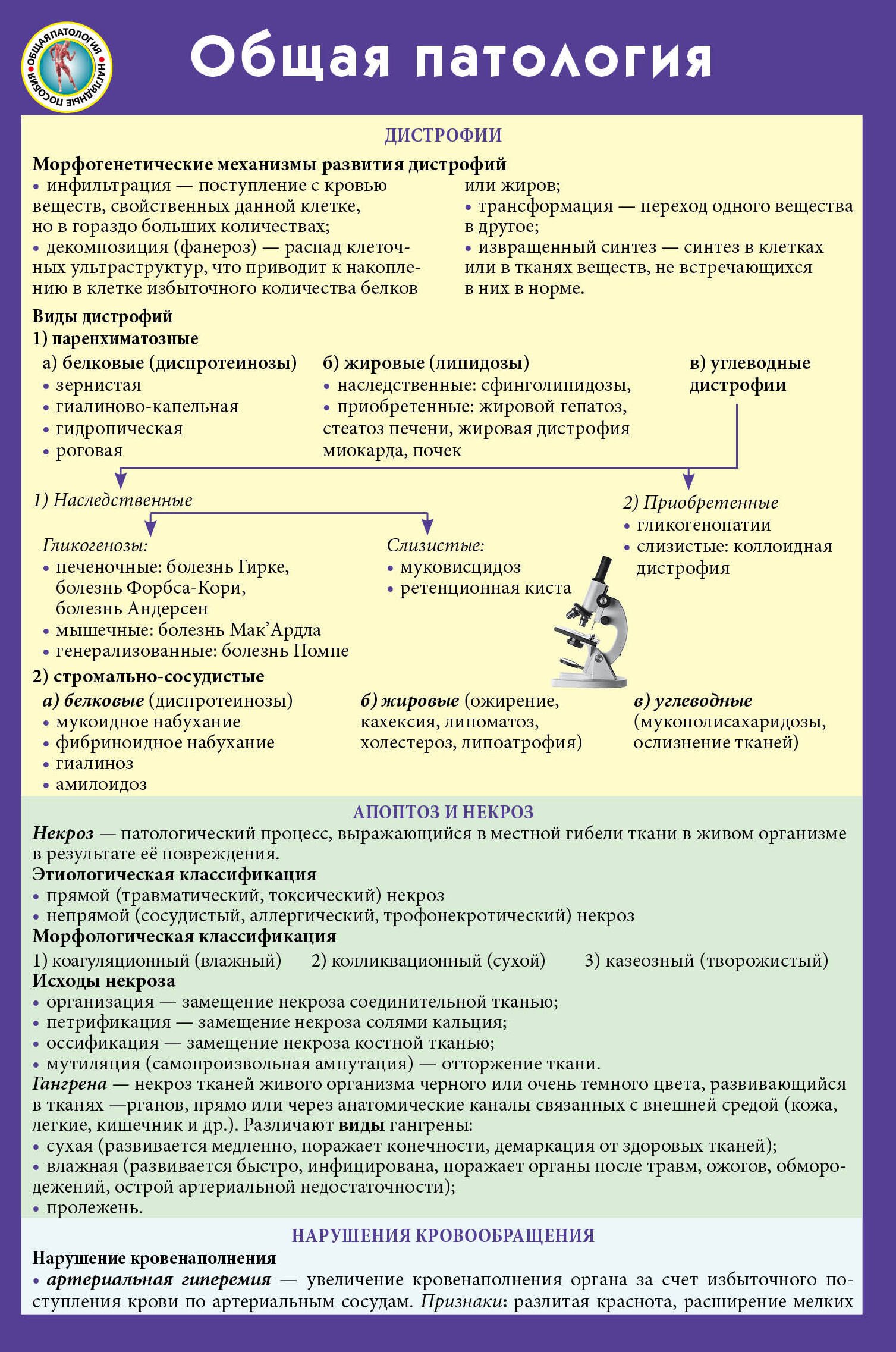 

Общая патология
