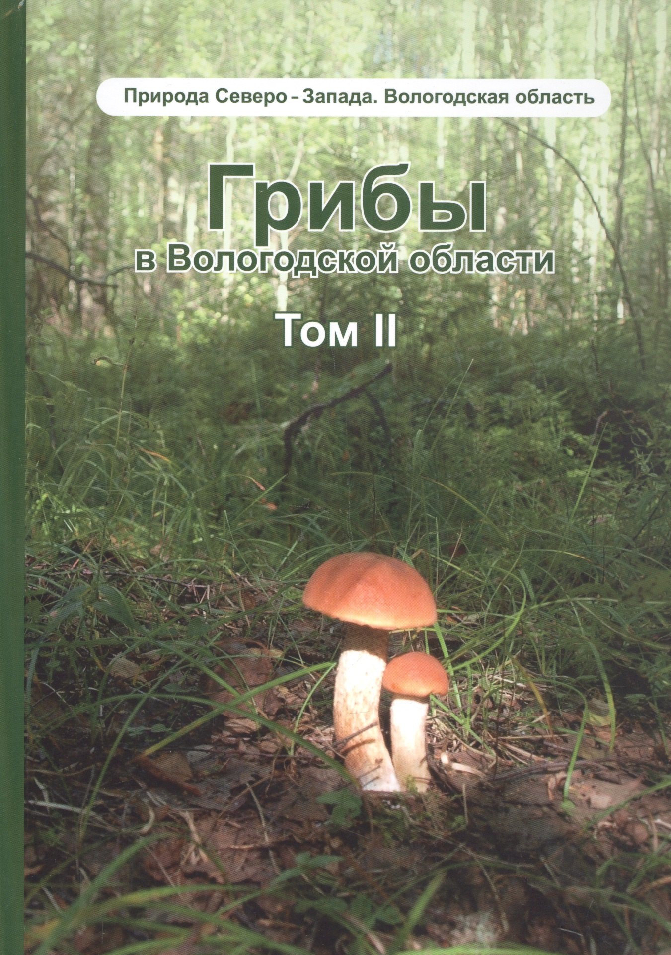 

Грибы в Вологодской обласмти. Том 2: Сопоставление похожих грибов