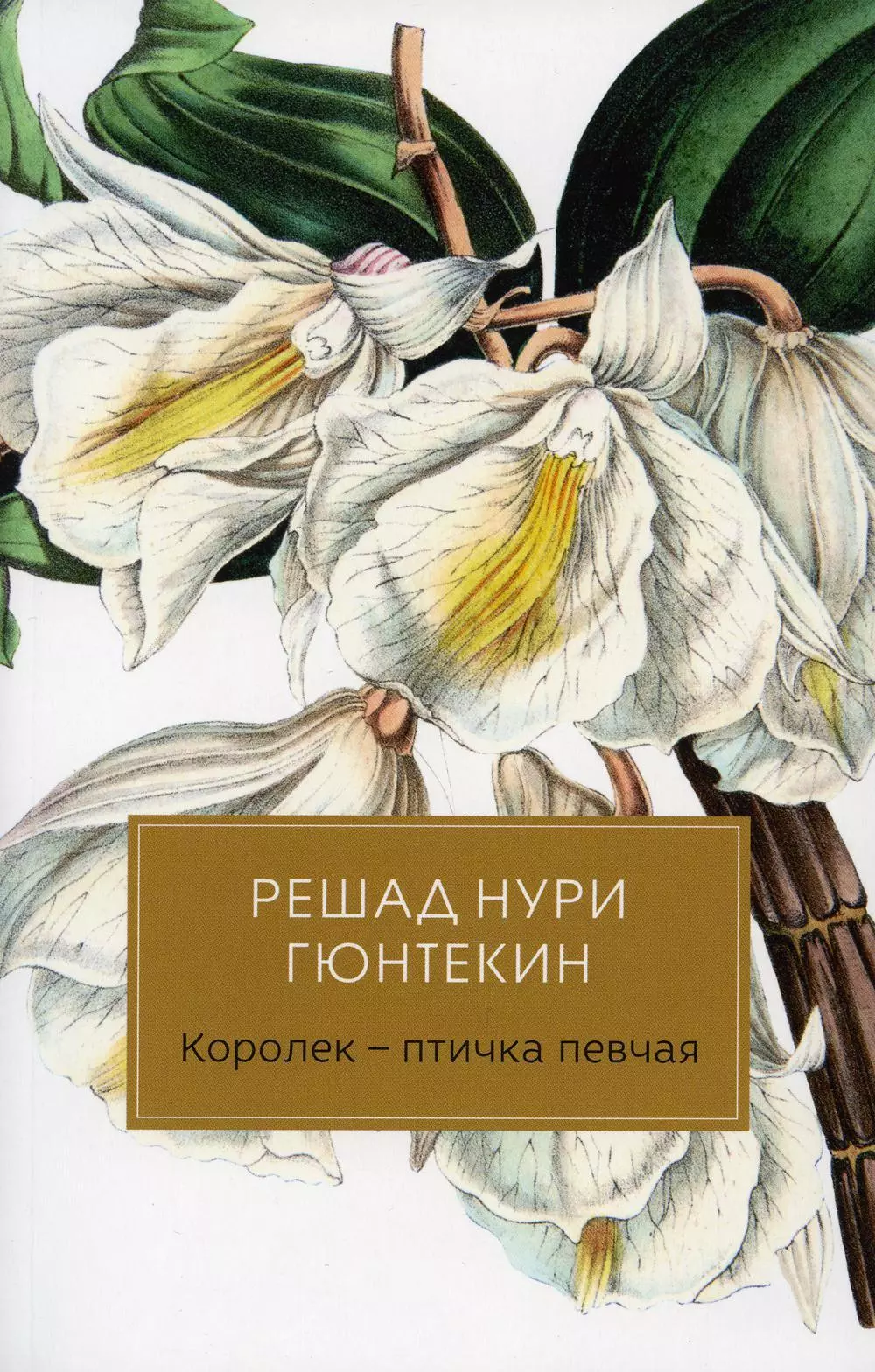 Решад нури гюнтекин книги. Гюнтекин птичка певчая. Гюнтекин Королек птичка певчая. Решад Нури Гюнтекин Королек птичка певчая. Книга Королек птичка.