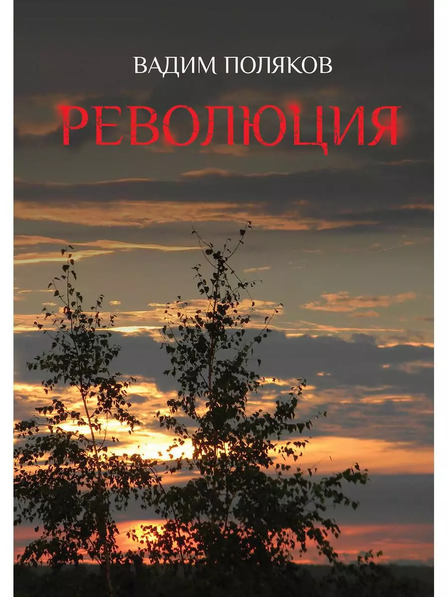 Поляков Влад, Поляков Вадим - Революция