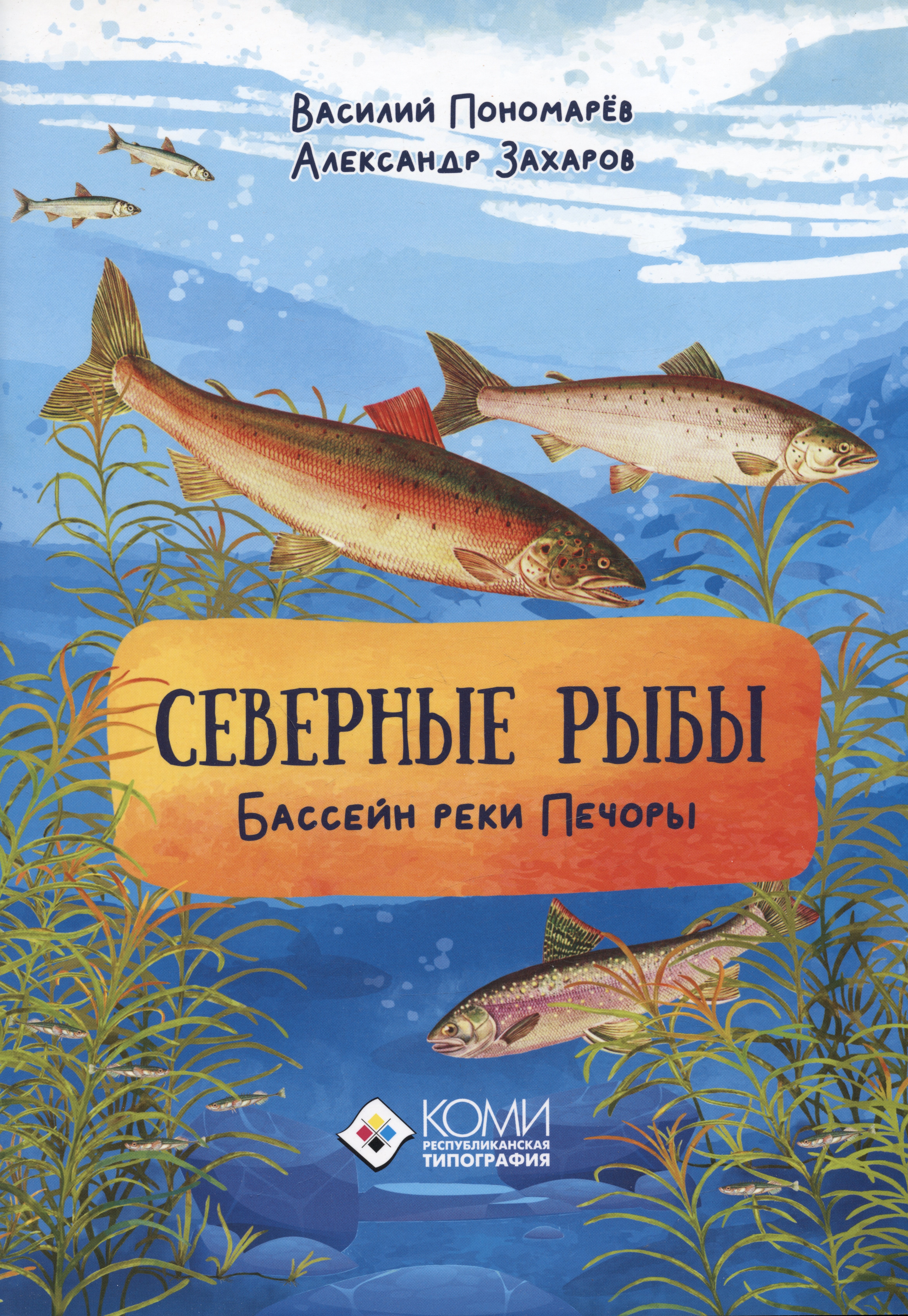 

Северные рыбы. Бассейн реки Печора