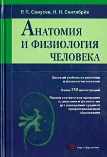 Самусев Рудольф Павлович - Анатомия и физиология человека. Учебное пособие для студентов учреждений среднего профессионального образования