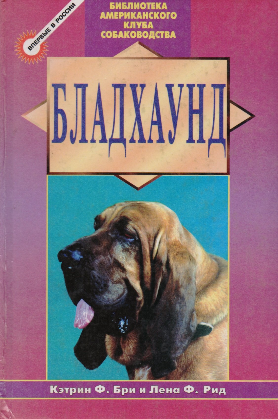 

Бладхаунд